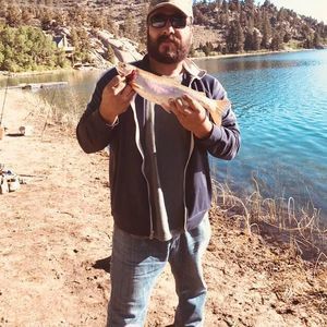 Meet your Posher, Tommy